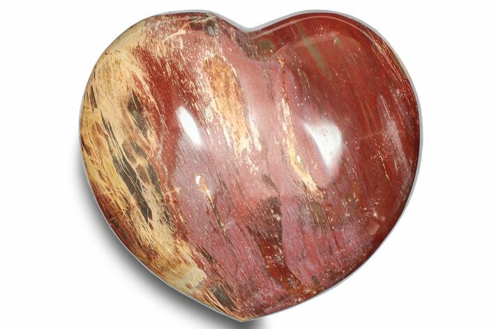 Polished Triassic Petrified Wood Heart - Madagascar #249187